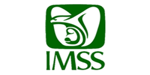 logo-imss